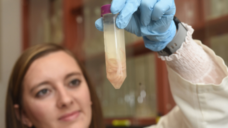 CALS Poultry Science's Marissa Herchler in the lab