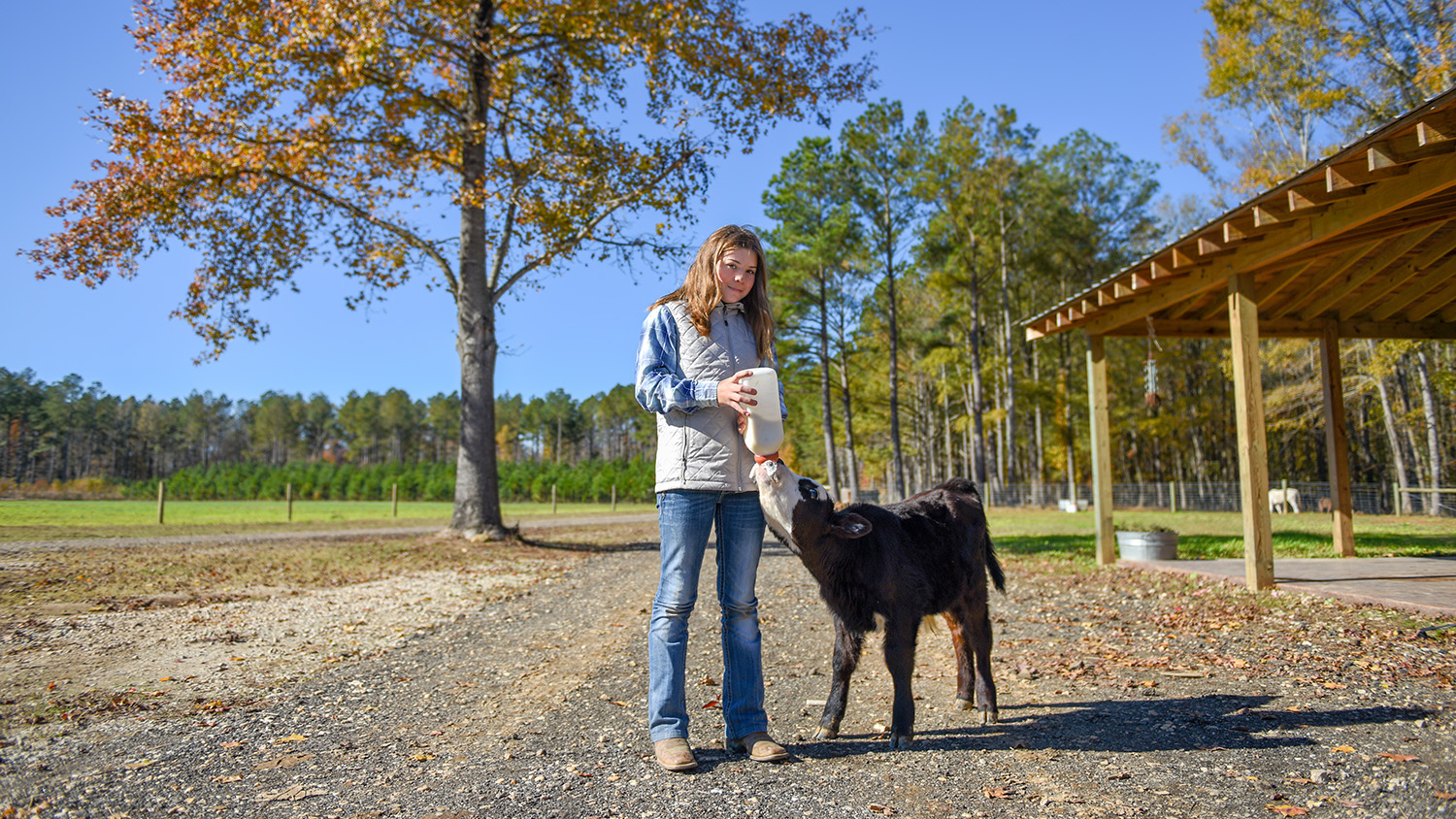 NC 4-H's Sadie helps after Hurricane Florence