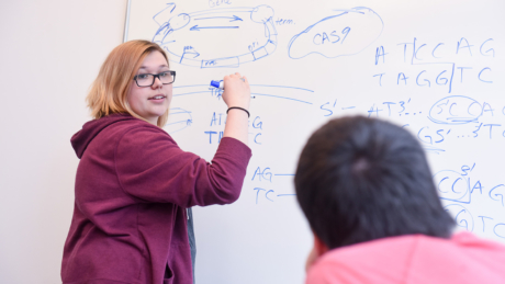 Biochemistry student at whiteboard