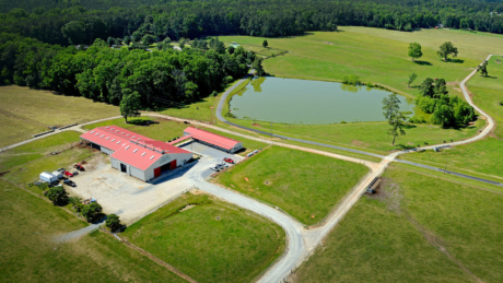 The Joyner Beef Unit: an aerial view, in summer.