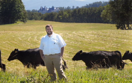 A bearded man stands in a field of cattle, Biltmore House behind him in the distance.