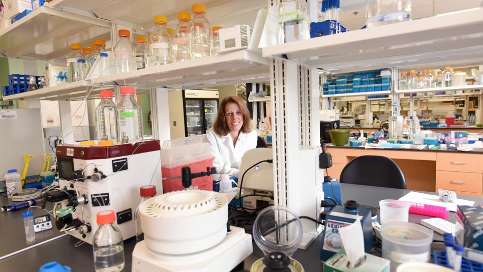 Biochemistry Department Head Melanie Simpson leaning on a counter in the newly renovated biochem laboratories.