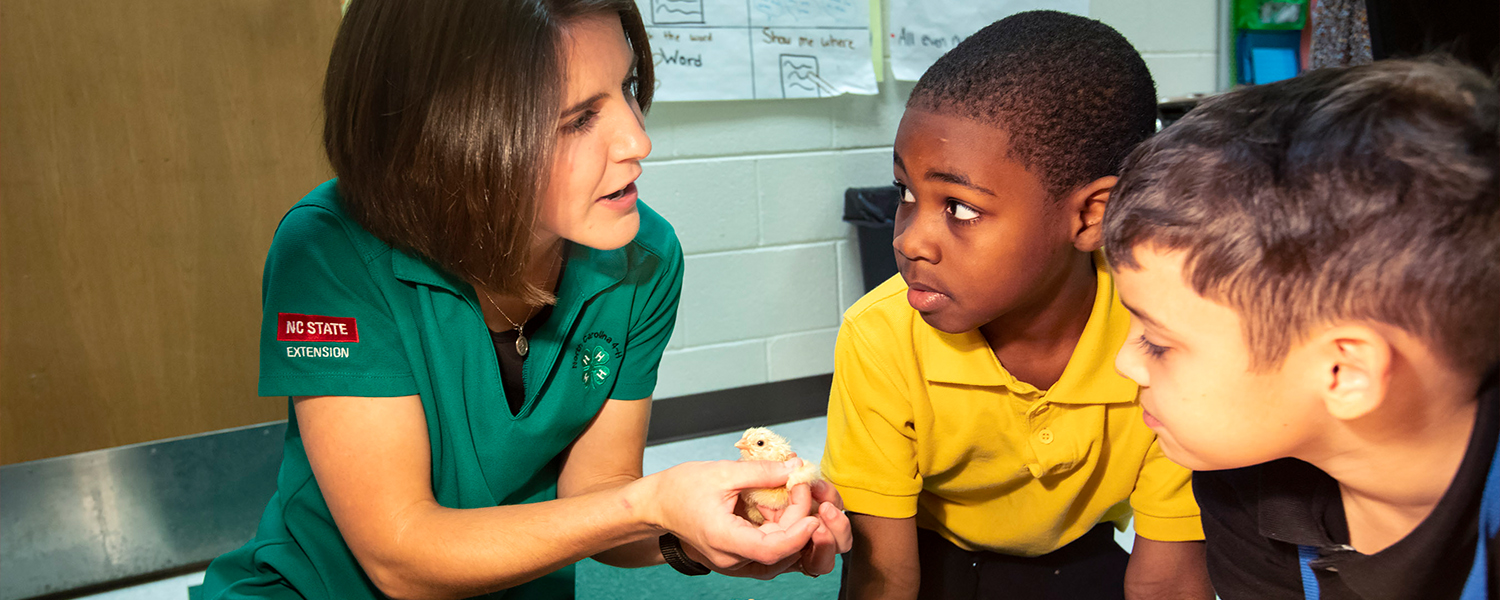 Extension 4-H agent Catherine Shelley holds a chick for students Naquez Cole and Landon Davis