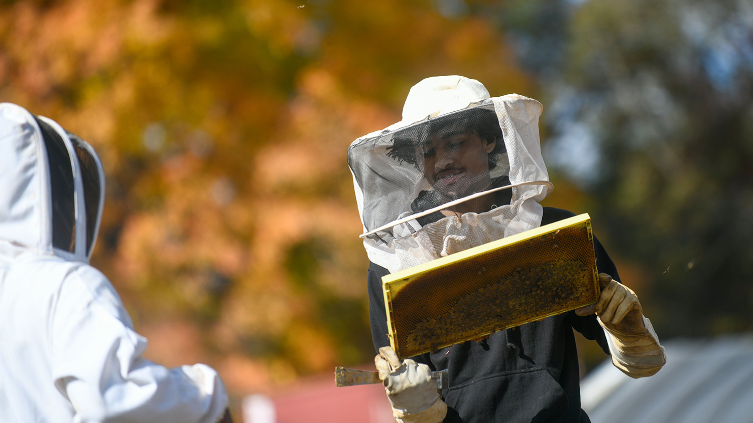 Beekeeper on Sankofa Farms